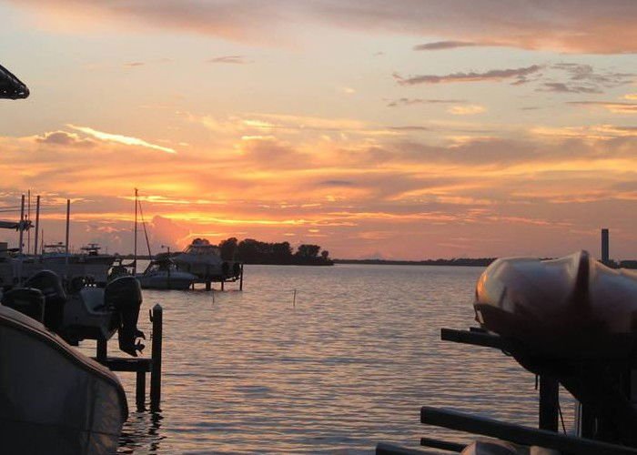 palm-harbor